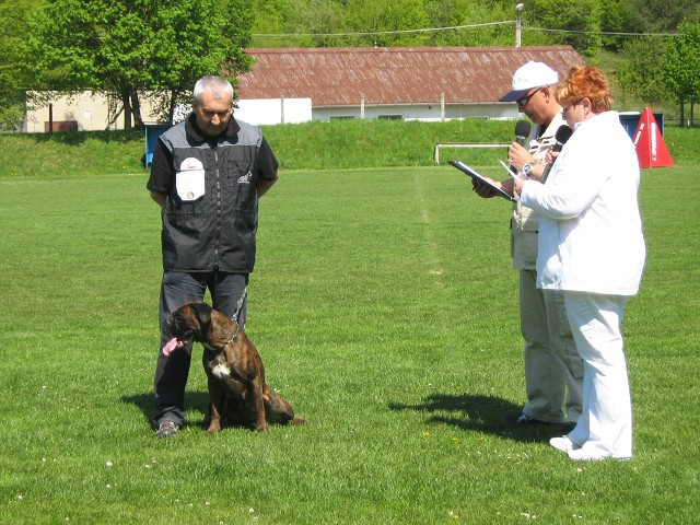 www.atibox.net * www.euroboxer.eu * www.boxergenealogia.eu